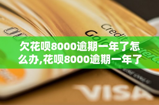 欠花呗8000逾期一年了怎么办,花呗8000逾期一年了会有什么后果