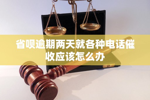 省呗逾期两天就各种电话催收应该怎么办