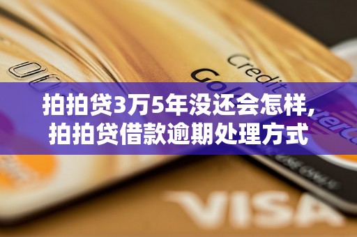 拍拍贷3万5年没还会怎样,拍拍贷借款逾期处理方式