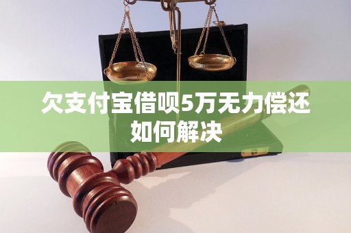 欠支付宝借呗5万无力偿还如何解决