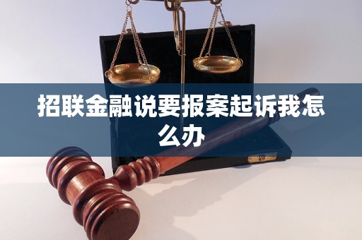 招联金融说要报案起诉我怎么办