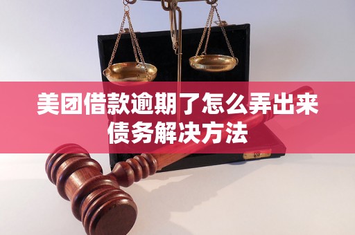 美团借款逾期了怎么弄出来债务解决方法