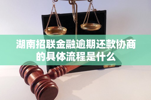 湖南招联金融逾期还款协商的具体流程是什么