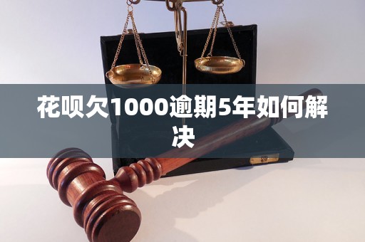 花呗欠1000逾期5年如何解决