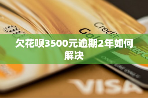 欠花呗3500元逾期2年如何解决