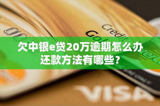 欠中银e贷20万逾期怎么办还款方法有哪些？