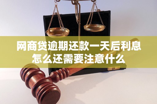 网商贷逾期还款一天后利息怎么还需要注意什么