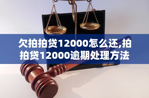 欠拍拍贷12000怎么还,拍拍贷12000逾期处理方法