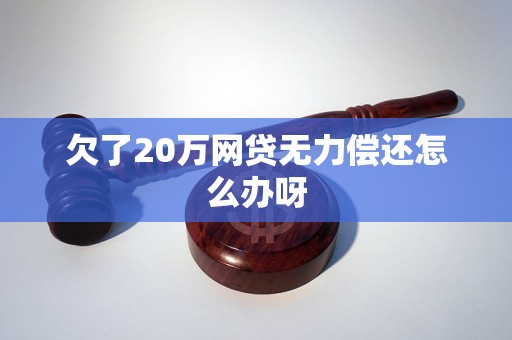 欠了20万网贷无力偿还怎么办呀