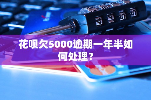 花呗欠5000逾期一年半如何处理？