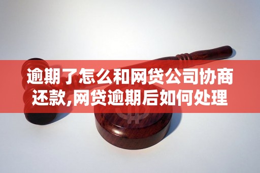 逾期了怎么和网贷公司协商还款,网贷逾期后如何处理