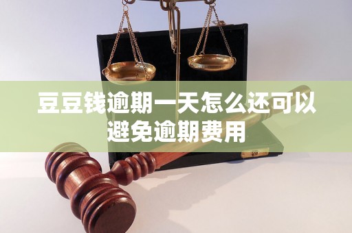 豆豆钱逾期一天怎么还可以避免逾期费用