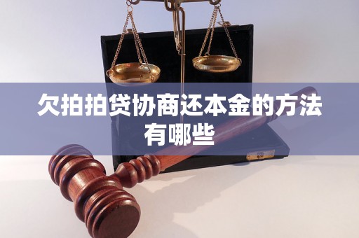 欠拍拍贷协商还本金的方法有哪些