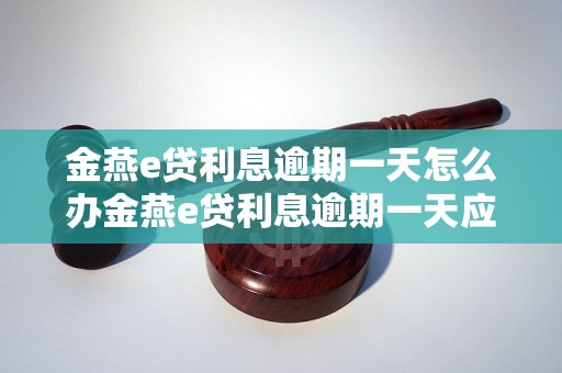 金燕e贷利息逾期一天怎么办金燕e贷利息逾期一天应该如何处理