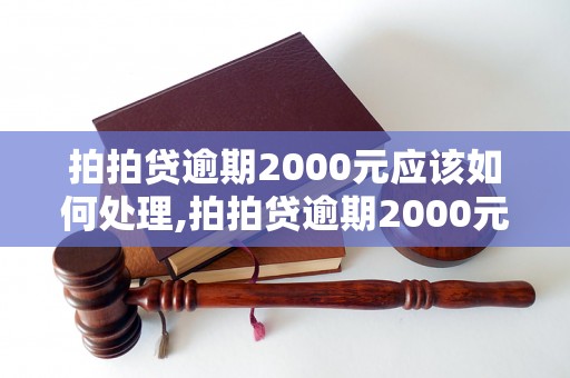 拍拍贷逾期2000元应该如何处理,拍拍贷逾期2000元后果严重吗