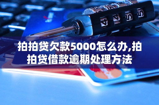 拍拍贷欠款5000怎么办,拍拍贷借款逾期处理方法