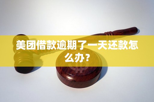 美团借款逾期了一天还款怎么办？