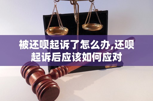 被还呗起诉了怎么办,还呗起诉后应该如何应对