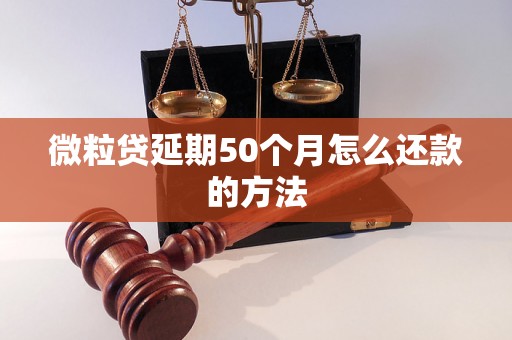 微粒贷延期50个月怎么还款的方法