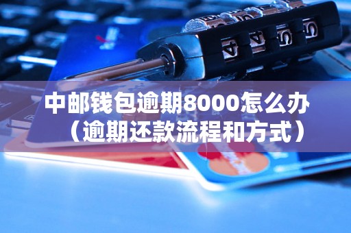 中邮钱包逾期8000怎么办（逾期还款流程和方式）