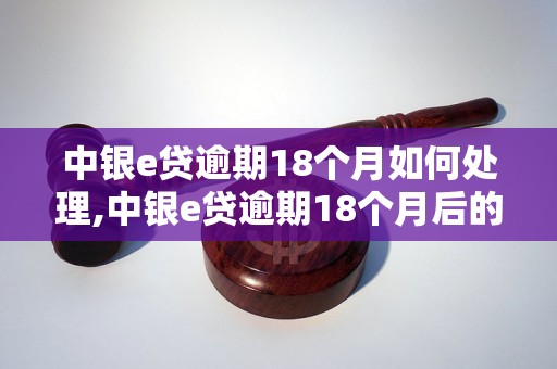 中银e贷逾期18个月如何处理,中银e贷逾期18个月后的解决办法