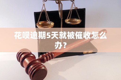 花呗逾期5天就被催收怎么办？