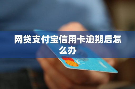 网贷支付宝信用卡逾期后怎么办