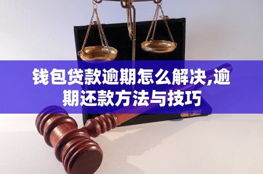 钱包贷款逾期怎么解决,逾期还款方法与技巧