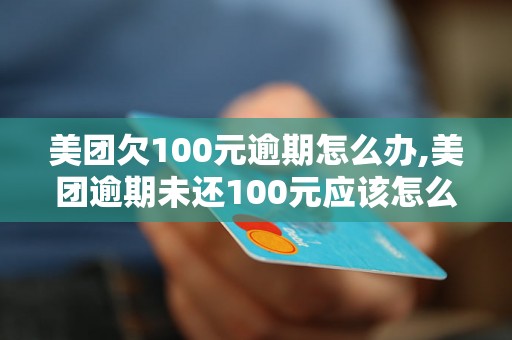 美团欠100元逾期怎么办,美团逾期未还100元应该怎么处理