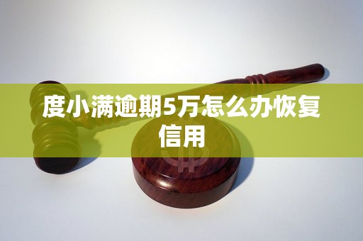 度小满逾期5万怎么办恢复信用