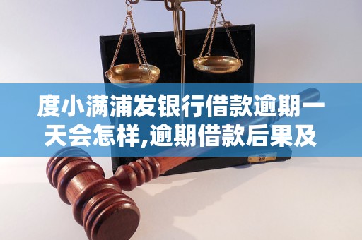 度小满浦发银行借款逾期一天会怎样,逾期借款后果及处理方法