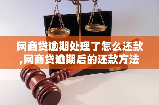 网商贷逾期处理了怎么还款,网商贷逾期后的还款方法介绍