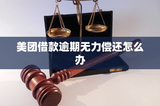 美团借款逾期无力偿还怎么办