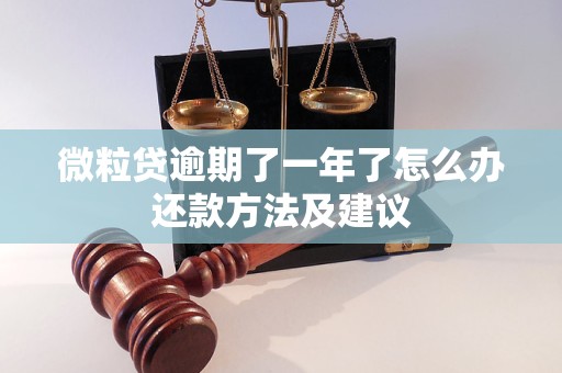 微粒贷逾期了一年了怎么办还款方法及建议