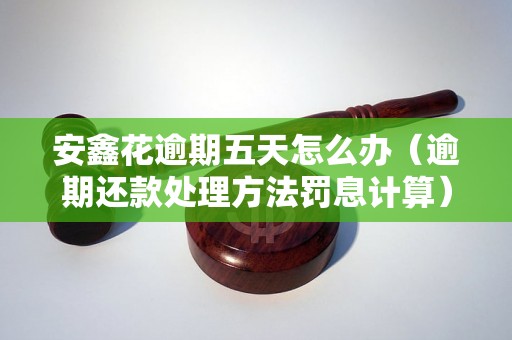 安鑫花逾期五天怎么办（逾期还款处理方法罚息计算）