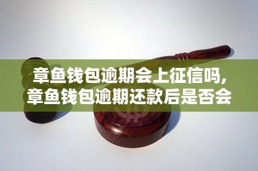 章鱼钱包逾期会上征信吗,章鱼钱包逾期还款后是否会被上征信