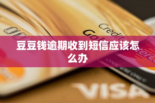 豆豆钱逾期收到短信应该怎么办