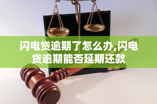 闪电贷逾期了怎么办,闪电贷逾期能否延期还款