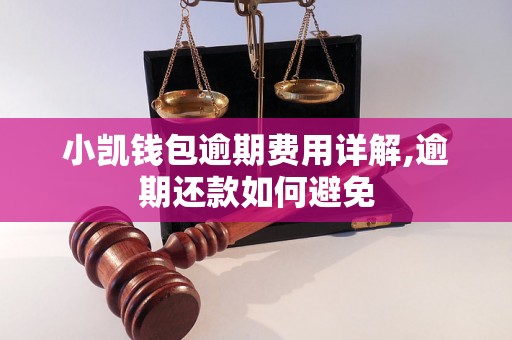 小凯钱包逾期费用详解,逾期还款如何避免