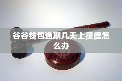 谷谷钱包逾期几天上征信怎么办