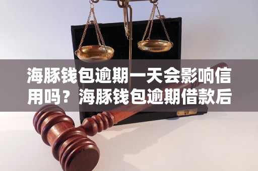 海豚钱包逾期一天会影响信用吗？海豚钱包逾期借款后果分析