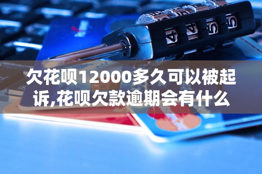 欠花呗12000多久可以被起诉,花呗欠款逾期会有什么后果