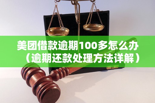 美团借款逾期100多怎么办（逾期还款处理方法详解）