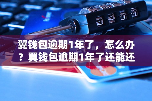 翼钱包逾期1年了，怎么办？翼钱包逾期1年了还能还吗？