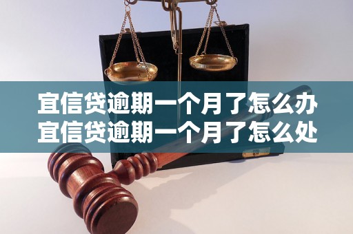 宜信贷逾期一个月了怎么办宜信贷逾期一个月了怎么处理