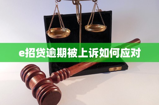 e招贷逾期被上诉如何应对