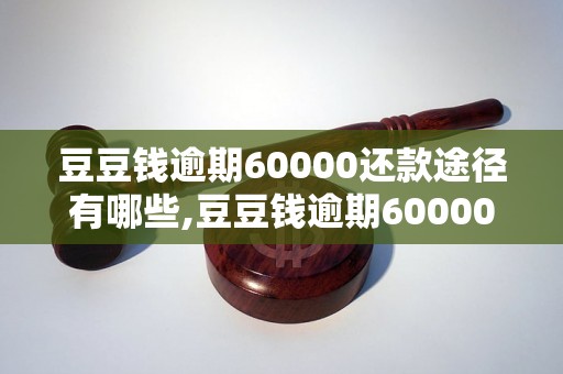 豆豆钱逾期60000还款途径有哪些,豆豆钱逾期60000如何处理