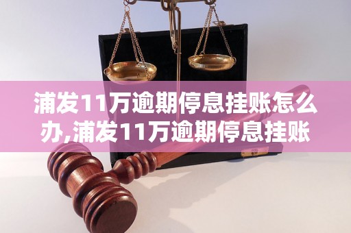 浦发11万逾期停息挂账怎么办,浦发11万逾期停息挂账解决方法