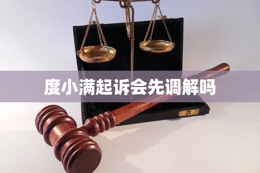 度小满起诉会先调解吗