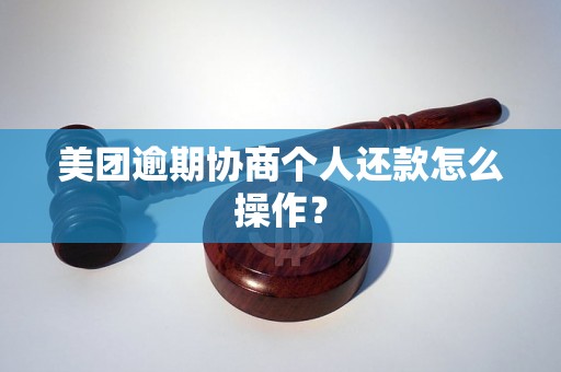 美团逾期协商个人还款怎么操作？